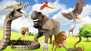 Baby farm animal moments: elephant, Fox, sheep, pig, cow, stork, dog, cat, parrot - Wild Animal