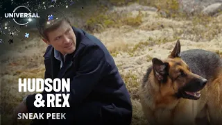 Hudson & Rex | Sneak Peek | Universal TV on Universal+