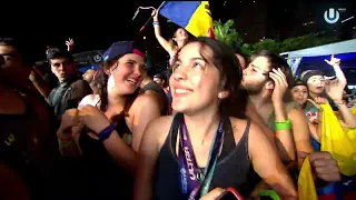 AVICII - We Burn Live @ UMF (2016)| #aviciitribute #aviciiforever #aviciimusic #avicii #tributetotim