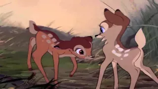 Bambi conoce a Faline HD