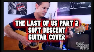 The Last Of Us Part 2 Soft Descent Guitar cover