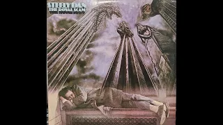 Steely Dan - The Royal Scam - Vinyl Record Album 1976 - side A