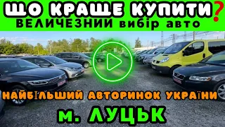 СВІЖИЙ огляд цін на авто❗️ АвтоБазар ЛУЦЬК❗️НАЙБІЛЬШИЙ вибір машин в Україні ТУТ❗️ПІДБІР ТА ДОСТАВКА