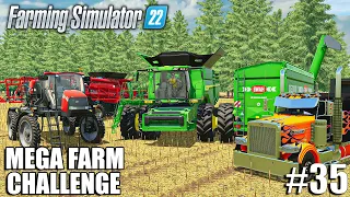 HARVESTING 6500 BUSHELS OF SUNFLOWERS, FERTILIZING MEGA FIELD | Farming Simulator 22