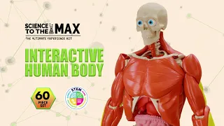 Science to the MAX Interactive Human Body