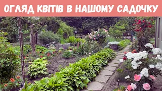 Огляд квітів в нашому садочку🌺