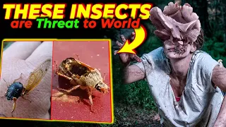 The Hidden Truth of ZOMBIE INSECTS in Nature | Zombie Cicada & Fungi ?