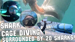 Full experience- Shark Cage Diving South Africa - Surrounded by 20 Sharks!🦈