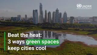 Beat the heat: 3 ways to green spaces keep cities cool | UNDRR