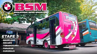 Pinky Bus! Naik Bus Putra BSM, Magelang - Sukorejo