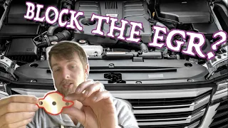 EGR Blank Delete Or Removal Common Rail Diesel Should You do it? Pro's & Con's