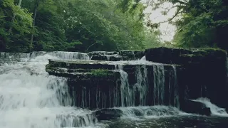 Rutledge Falls, Tennessee.