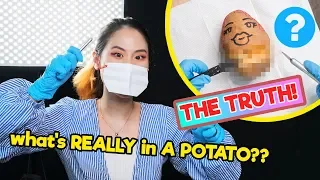 I did SURGERY on a POTATO and found THIS - Time of the Month #9 | MiniMoochi