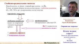 3.2 Почему человек стареет?  Наука 4.  Мутации.  Антиоксиданты