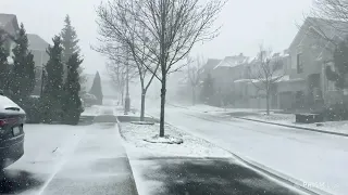 🔴 LIVE - Snowfall in Toronto Suburbs March 20 2024