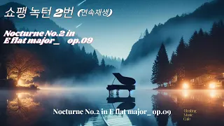 힐링할때 듣는 음악 ㅣ 클래식 피아노 명곡ㅣ쇼팽 녹턴 No.2 E flat major _Op.9   // [연속재생]  l 공부할때 듣는 음악 l 독서할때 듣는 음악