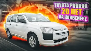 Toyota Probox | Японский долгожитель. Какой он, свежий Пробокс б/п по РФ?