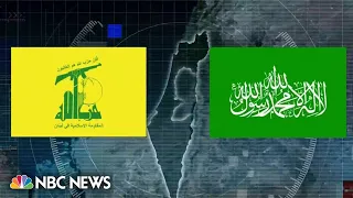 The difference between Hamas and Hezbollah militant groups and their motives