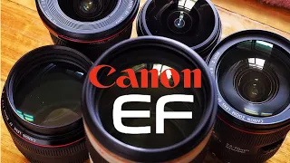 DSLR dead,  Does EF Lenses Still Worth The Money?