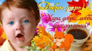 Доброе утро))) Желаю Мира,добра,любви  и Благополучия! С Добрым утром Музык.Открытка. 🌹🍵🍓