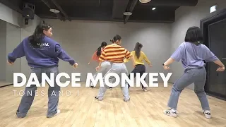 TONES AND I - DANCE MONKEY / 실용무용 입시반 choreography