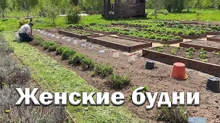 Женские будни // Навожу порядок // Экскурсия по огороду