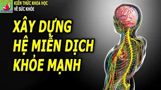 5 Loại Vitamin và khoáng chất giúp xây dựng hệ miễn dịch khỏe mạnh