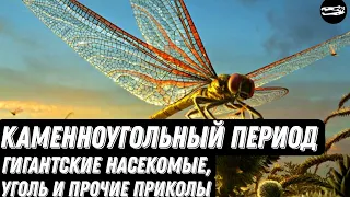 КАМЕННОУГОЛЬНЫЙ ПЕРИОД | Период образования угля и существования гигантских насекомых