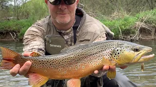 Fishing a New PA Stream with Absolutely Mind Blowing Results (Part 1) (2020) #mepps #fishing #trout
