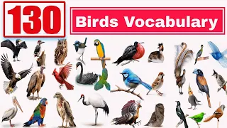 Birds Vocabulary ll 130 Birds Name In English With Pictures ll Birds PicturesBirds Vocabulary ll