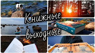 Я вернулась!😊 Книжные выходные: семейка крудс на райском побережье)