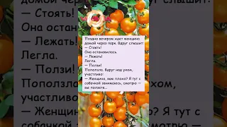 Шла домой через парк #юмор #радость #анекдоты #шутки#смех #приколы