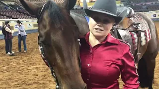 Champion Talks With Mandy McCutcheon: 2020 NRHA Futurity Level 4 Non-Pro