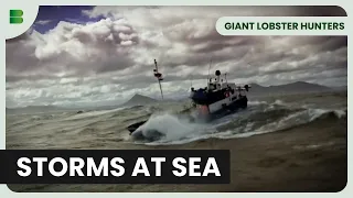 Rookie vs. Tough Sea - Giant Lobster Hunters - Documentary