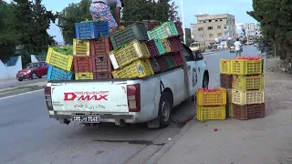 2018.09.10, Тунис, Хаммамет, Club Marmara Hammamet Beach, первый выход за территорию отеля, ч.2