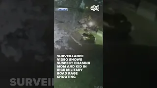 Rice Military Road Rage Shooting