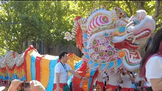 Bendigo Easter Day Parade Lion & Dragon Teams 2024