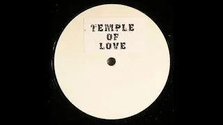The Sisters Of Mercy - Temple Of Love (Schranz Remix) [2005]