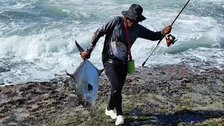 INCRÍVEL SAMANDUARA TOMANDO LINHA PESCARIA DE COSTEIRA OU COSTÃO GUARAPARI ES PESCARIA.