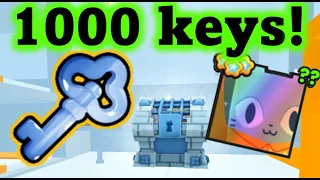 I Spent Over 1000 Prison Keys And Got?!?🤔🤩-pet simulator 99