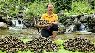 Harvest Snails to o to the market to sell - Daily life - Bushcraft | Trieu Mai Huong
