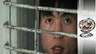 Talking To Someone Who Escaped From North Korea's Prison Camps