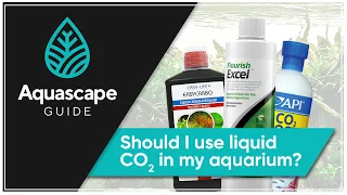 Aquascape Guide - Should I use liquid CO2 in my aquarium