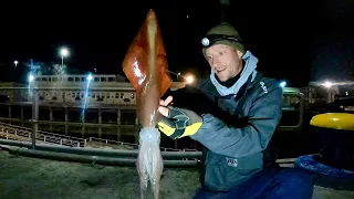 SQUID FISHING | THEY'RE GETTING BIGGER | SQUID JIGGING WITH LURES