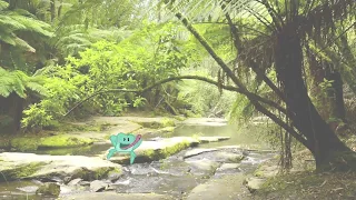 Froggy (2D animation into Live Action Video)