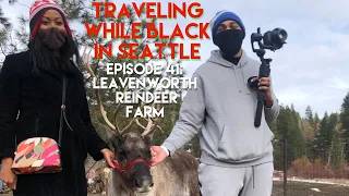 Traveling While Black™ in Seattle: Episode 41 - Leavenworth Reindeer Farm