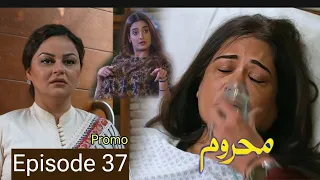 Mehroom Episode 37 | Teaser | Review | Promo | 18 May 2024 | Super Mistakes | Har Pal Geo Drama