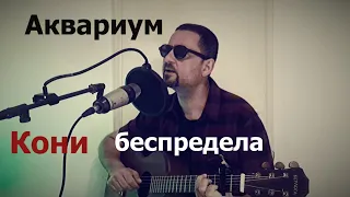 Кони беспредела(кавер)     Аквариум