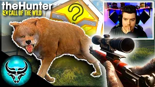 Attacked By a LEGENDARY PRISTINE Iberian Wolf! Guess What Happens Next.. | Call of the Wild