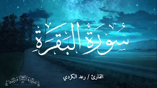 سورة البقرة رعد الكردي